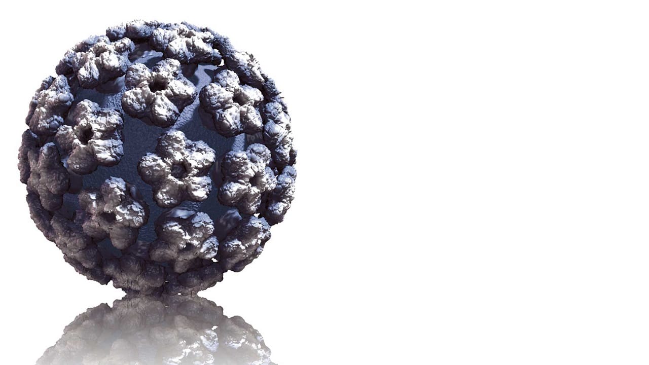 Ilustração vírus HPV