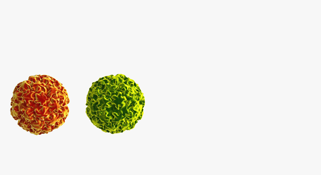 Ilustração dos genótipos 16 e 18 do vírus HPV