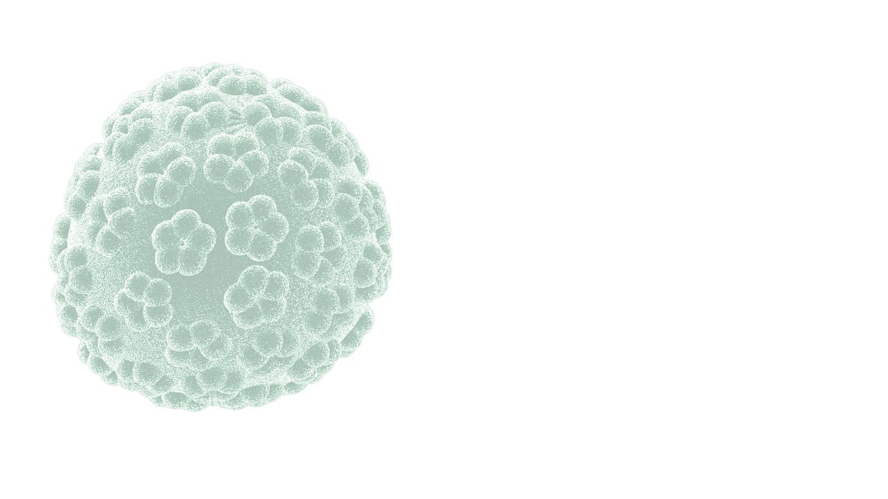 Ilustração vírus HPV